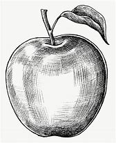 Image result for Apple Pen Art