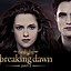 Image result for Twilight Order of Movies