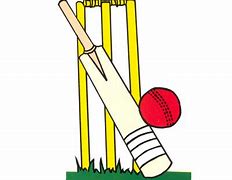 Image result for India Cricket Cartoon