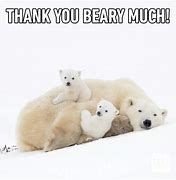 Image result for Sweet Thank You so Much Meme