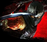 Image result for Ninja Fighting