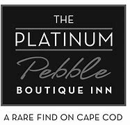Image result for Charge $5 Platinum Pebble