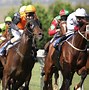 Image result for Horse Racing On Tarmac