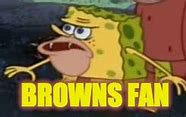 Image result for Cleveland Browns Fan Meme