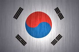 Image result for Cool South Korea Flag