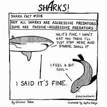 Image result for Shark LEGO Meme