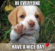 Image result for Awesome Day Dog Meme