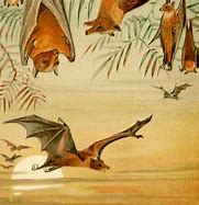 Image result for Vintage Bat Print