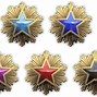 Image result for CS Service Medals