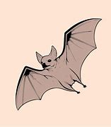 Image result for Bat Illustration in Yellow Colour