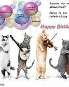 Image result for Funny Cats Singing Happy Birthday