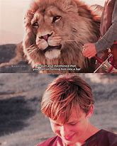 Image result for Narnia Cat Meme