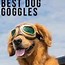 Image result for Dog Cool Goggle