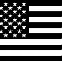 Image result for American Flag Emoji
