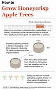 Image result for Honeycrisp Apple Tree Planting Guide