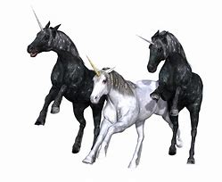 Image result for The Black Unicorn