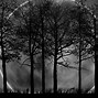 Image result for Dark Forest Moon Wallpaper
