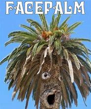 Image result for Pencil Trees Meme