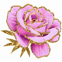 Image result for Gold Rose in Case PNG