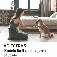 Image result for adiestra5
