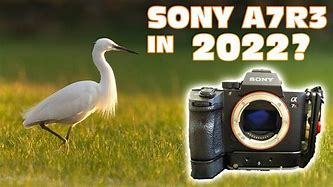 Image result for Sony A7r3