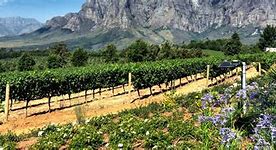 Image result for Tulbagh Mountain TMV Theta Tulbagh