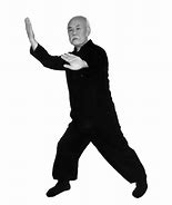 Image result for Wu Style Tai Chi 12 Form Names of Movies