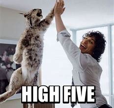 Image result for High Five Meme