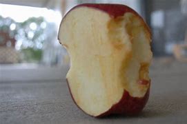 Image result for Red Apple Rotten Time-Lapse