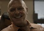 Image result for Happy Hank Schrader