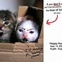 Image result for Loading Kitten Meme