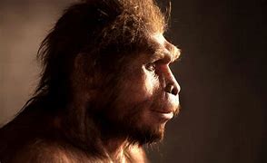 Image result for Early Humans 10 000 Years Ago