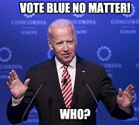 Image result for Vote Blue No Matter Who Meme