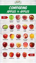 Image result for What Is the Best Apple