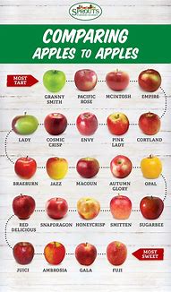 Image result for Smallest Apple Breed