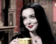 Image result for The Addams Family Morticia