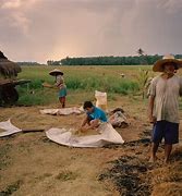 Image result for Filipino Agriculture