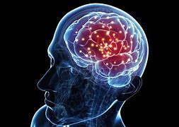 Image result for Brain Neuron Activity