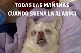 Image result for Imagen De Memes