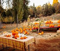 Image result for Apple Hill in Fall