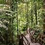 Image result for Best Places to Go in Australia