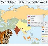 Image result for Tiger Habitat World Map