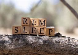 Image result for REM Sleep