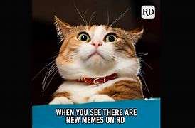 Image result for Humorous Memes