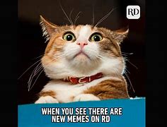 Image result for Fun Memee