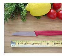 Image result for Japanese Paring Knife