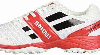 Image result for Gray-Nicolls Bowling Shoes