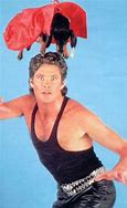 Image result for David Hasselhoff Dogs