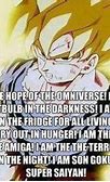 Image result for DBZ Abridged Quotes