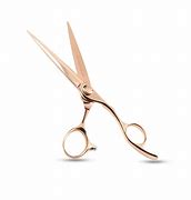 Image result for Gold Scissors